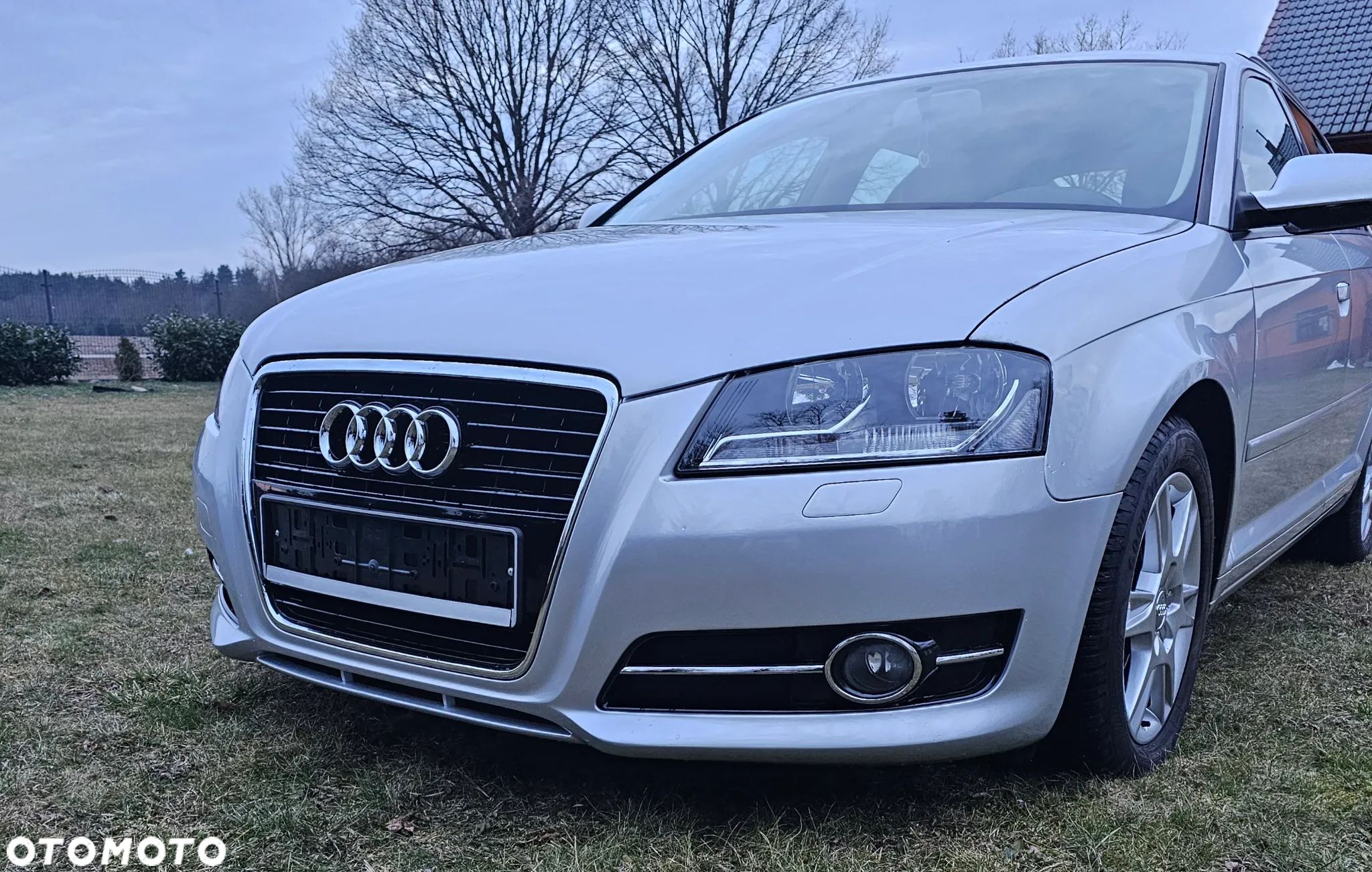 Audi A3 1.6 TDI Ambition S tronic - 1