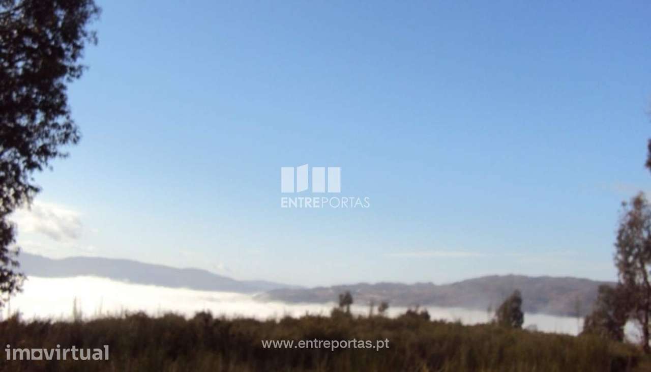Venda Terreno, Santa Leocádia, Baião - Grande imagem: 2/12