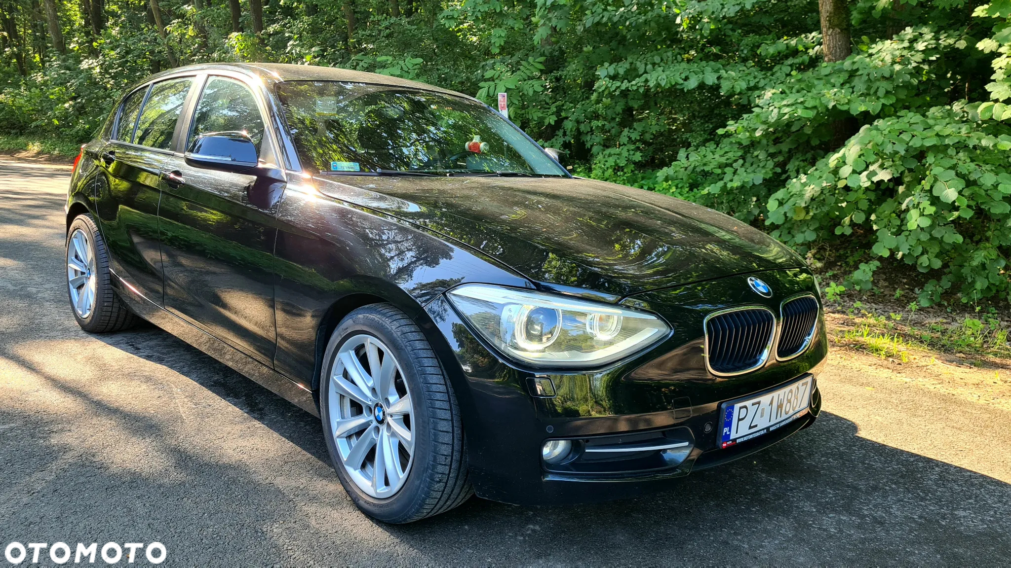 BMW Seria 1 116i - 23