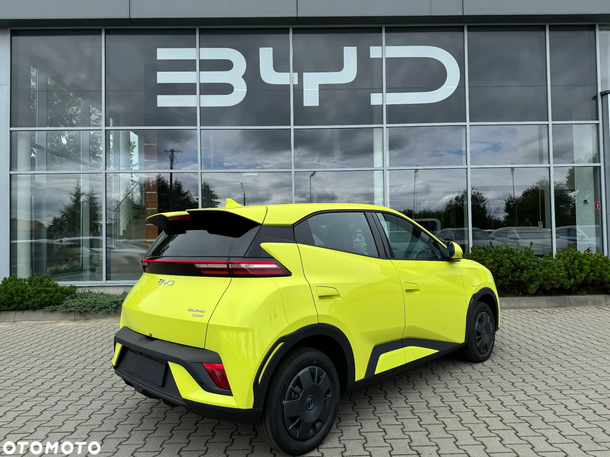 BYD Dolphin Surf - 11
