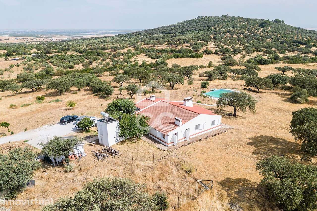 Herdade de 41 ha c/ Moradia T3+1  e Piscina | Elvas - Grande imagem: 3/60