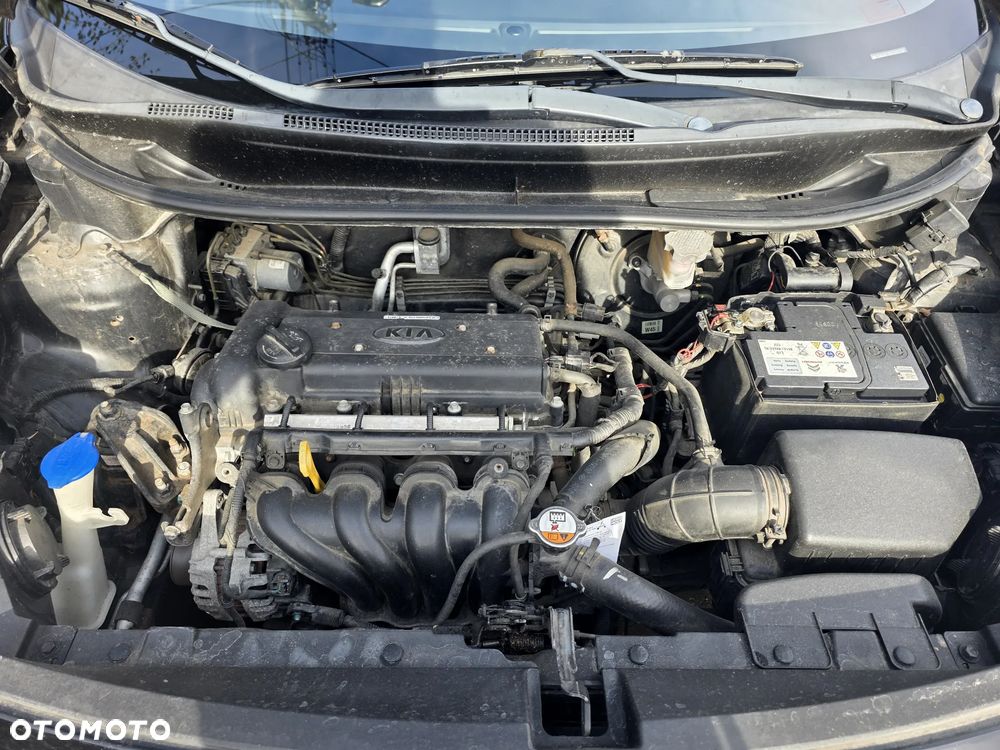 Kia Rio - 19