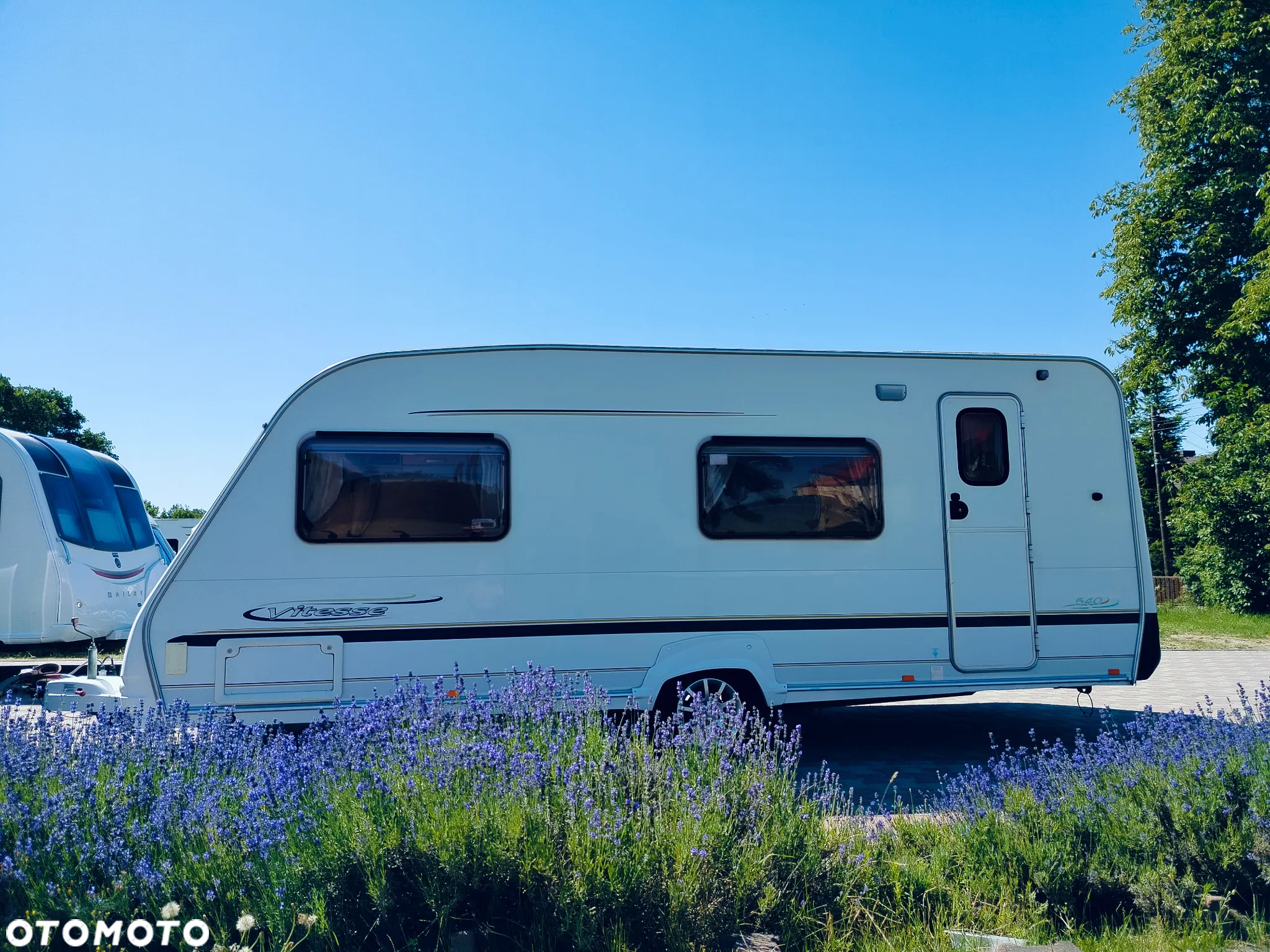 SWIFT Sterling Vitesse - 38