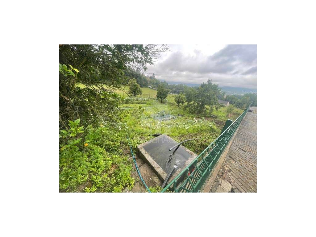 Venda Quinta com 11 Hectares, em Guimarães - Grande imagem: 4/34