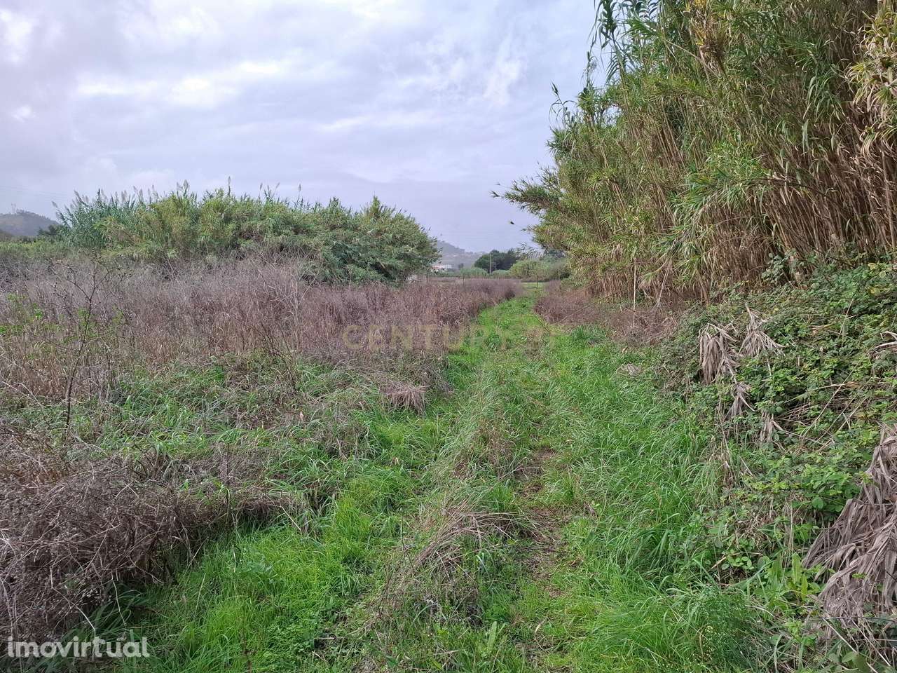 Terreno rústico - 5312m² - Asseiceira Grande - Grande imagem: 4/10