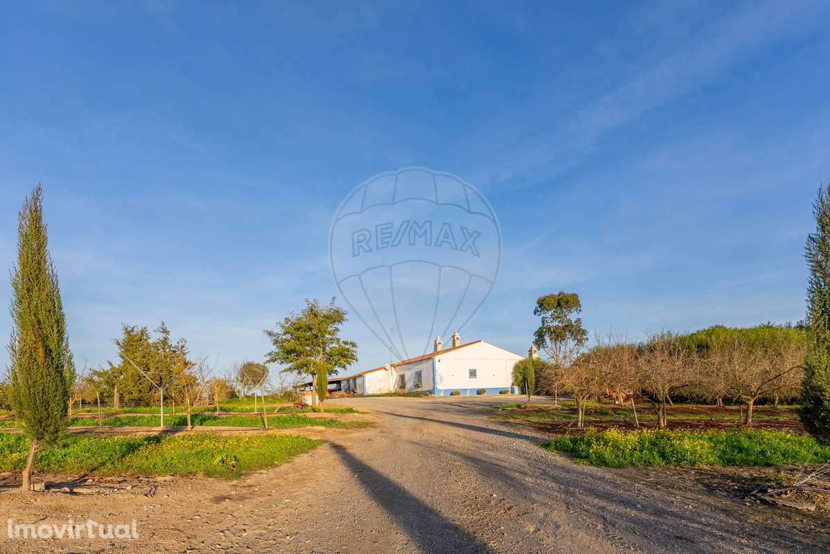 Quinta T3 para venda - Grande imagem: 4/33