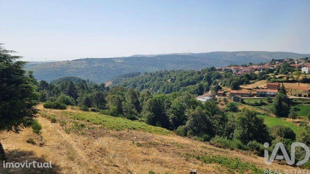 Casa / Villa em Videmonte - Grande imagem: 5/26