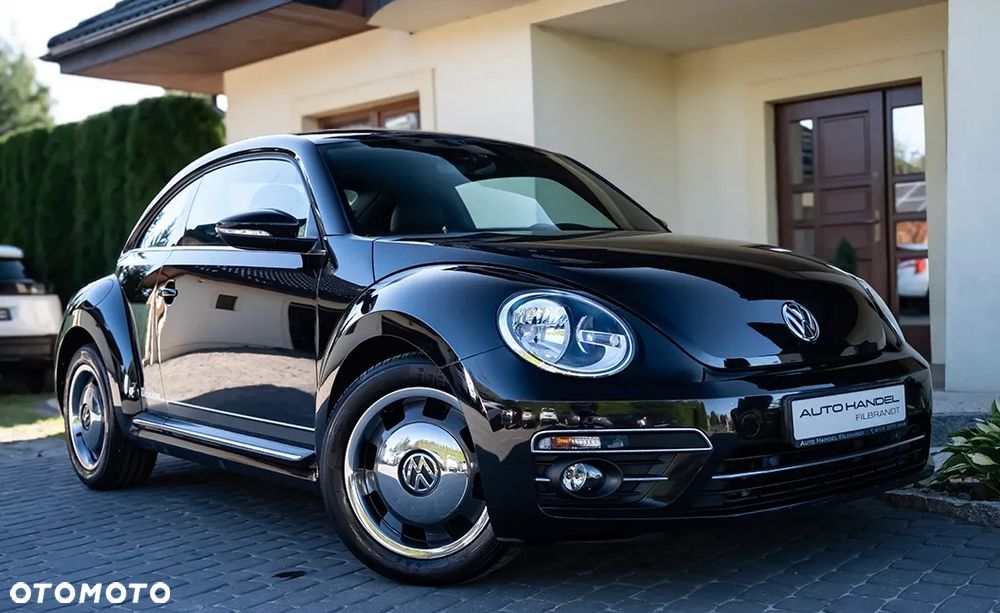 Volkswagen Beetle - 16