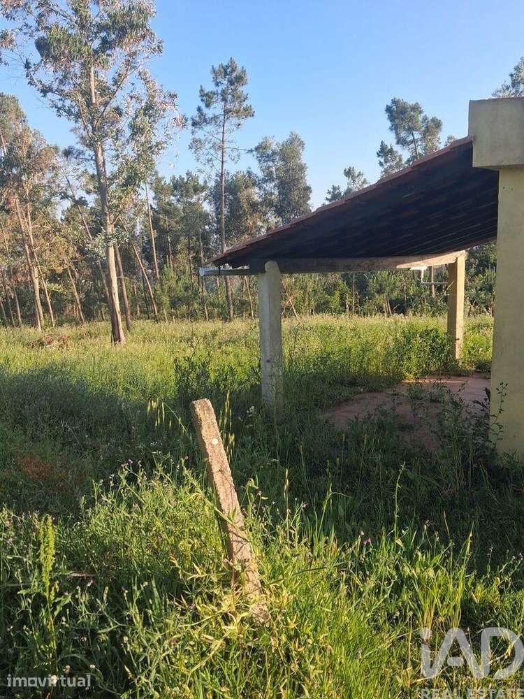 Terreno Agrícola em Alcobaça e Vestiaria - Grande imagem: 2/21