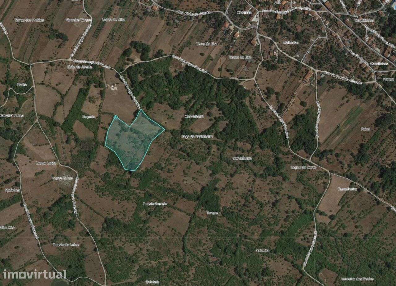 Terreno com 18280m2 em Mira de Aire - Grande imagem: 4/6