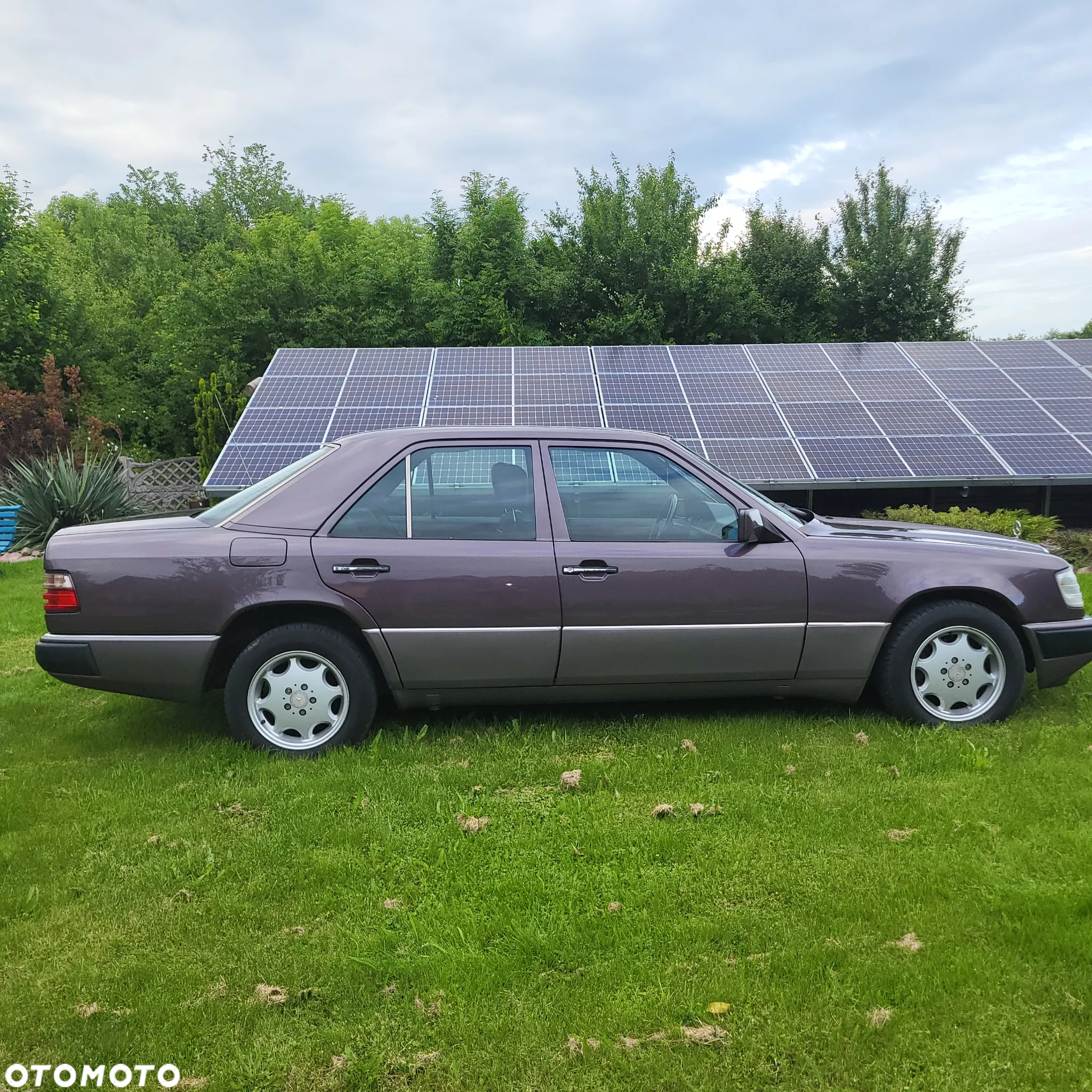 Mercedes-Benz W124 (1984-1993) - 2