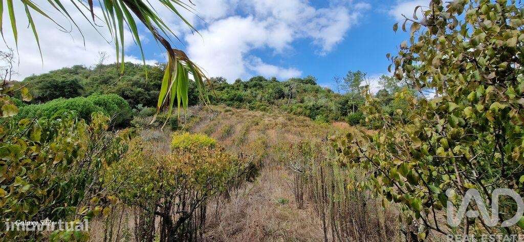 Terreno em Azueira e Sobral da Abelheira de 18259,00 m2 - Grande imagem: 5/23