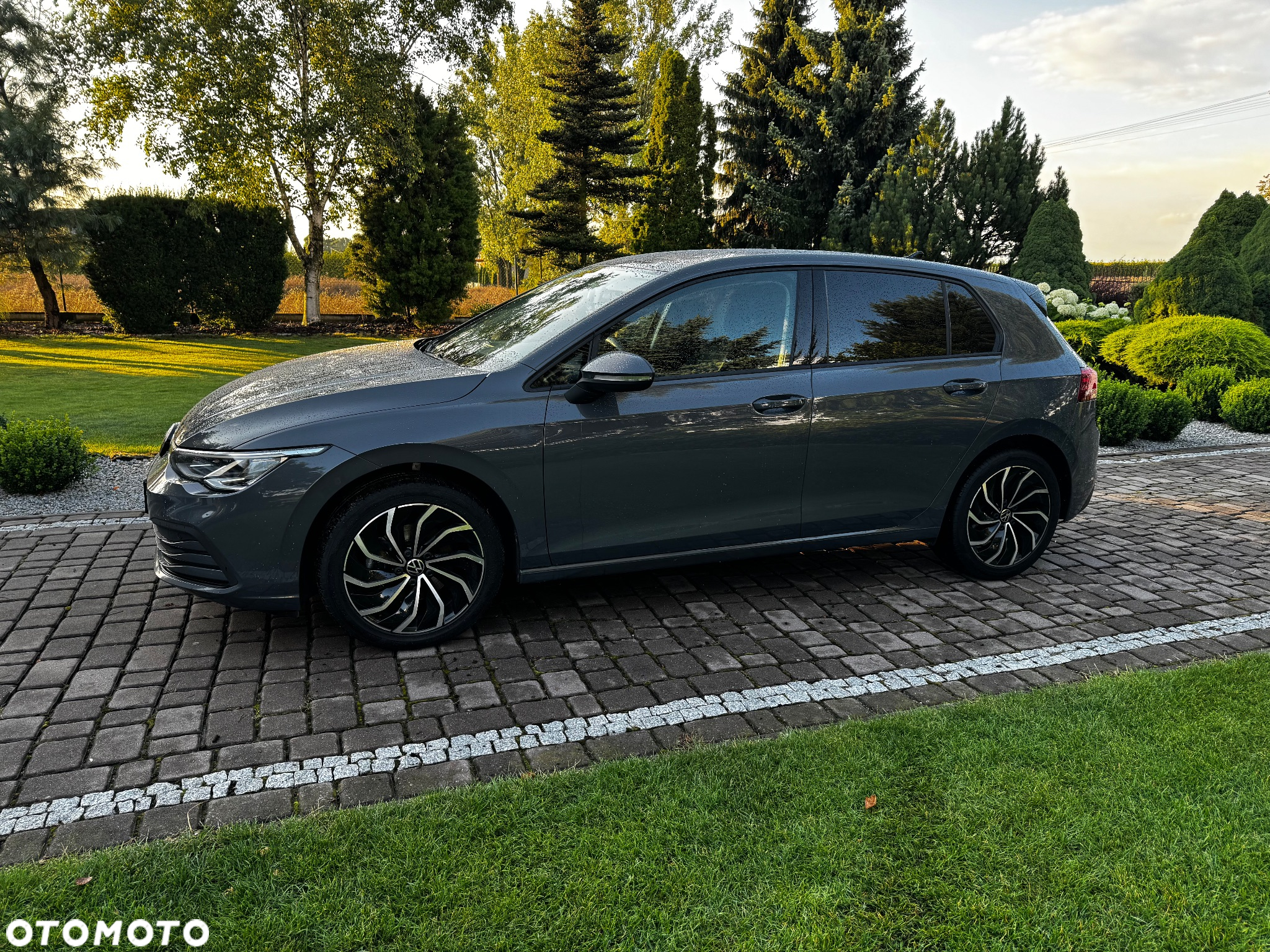 Volkswagen Golf VIII 1.0 TSI Life - 4