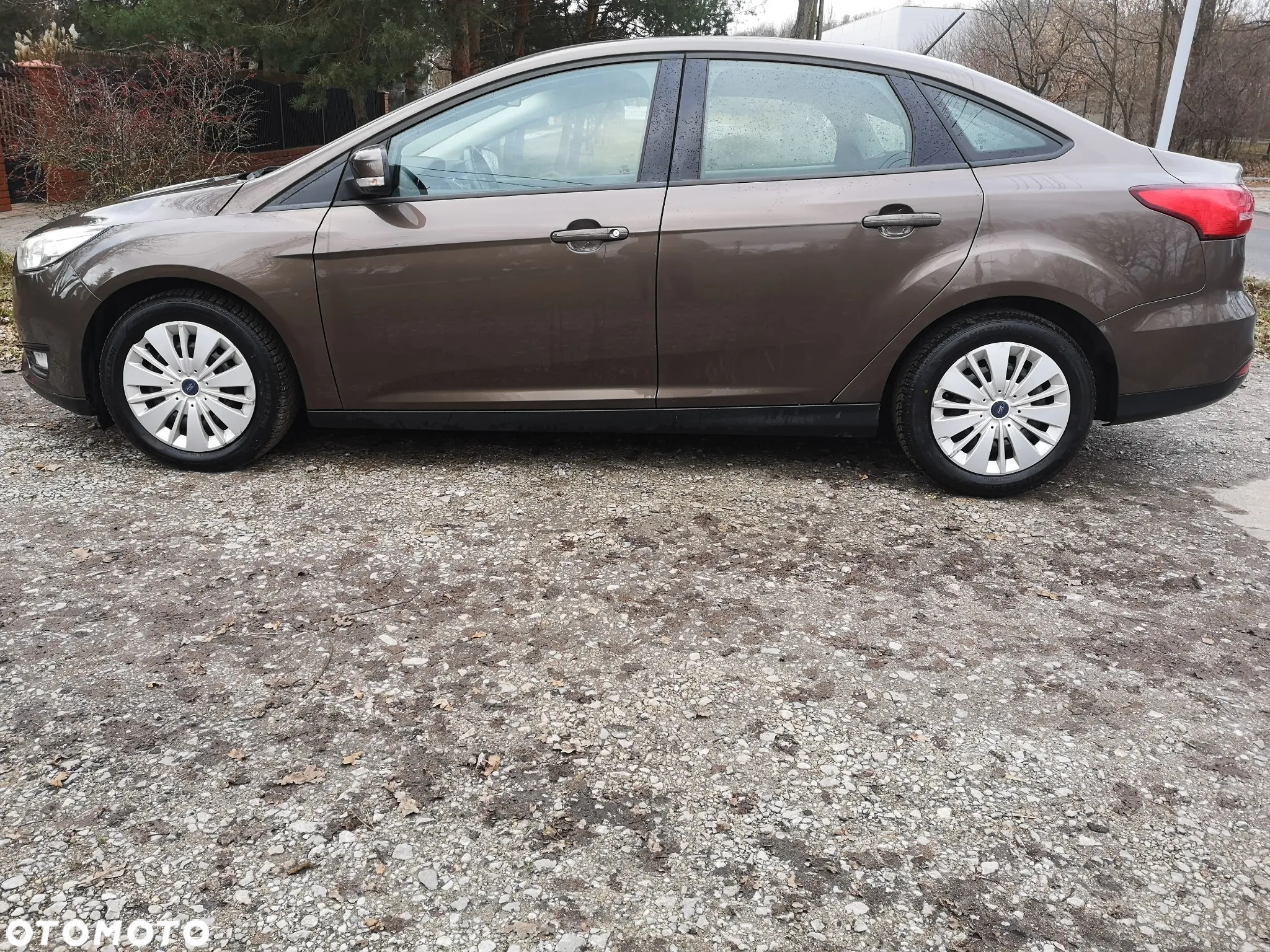 Ford Focus - 8