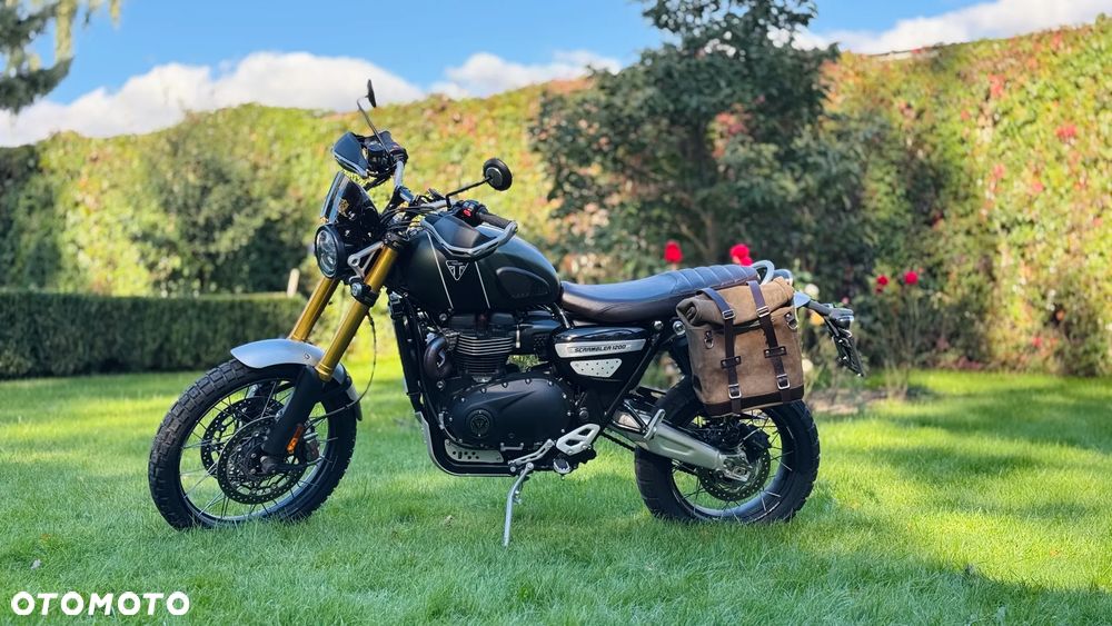 Triumph Scrambler