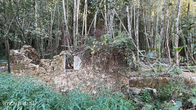 Terreno com ruína de moinho e possibilidade de casa pré-fabricada - Grande imagem: 2/8