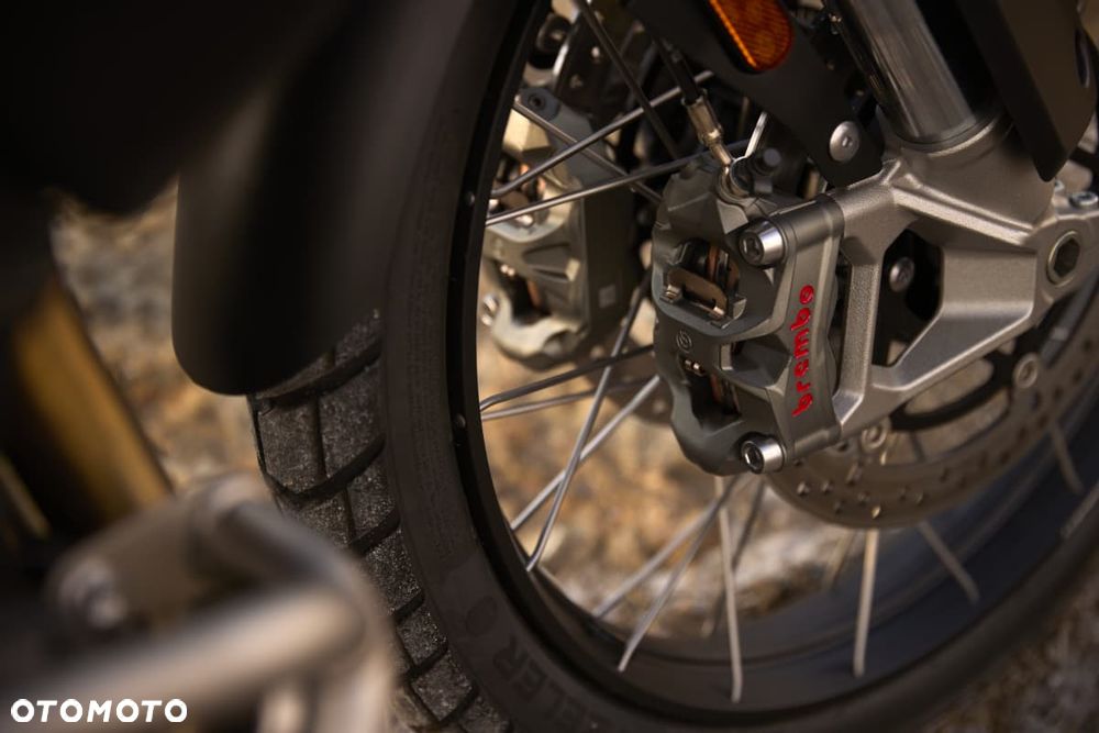Triumph Tiger - 7
