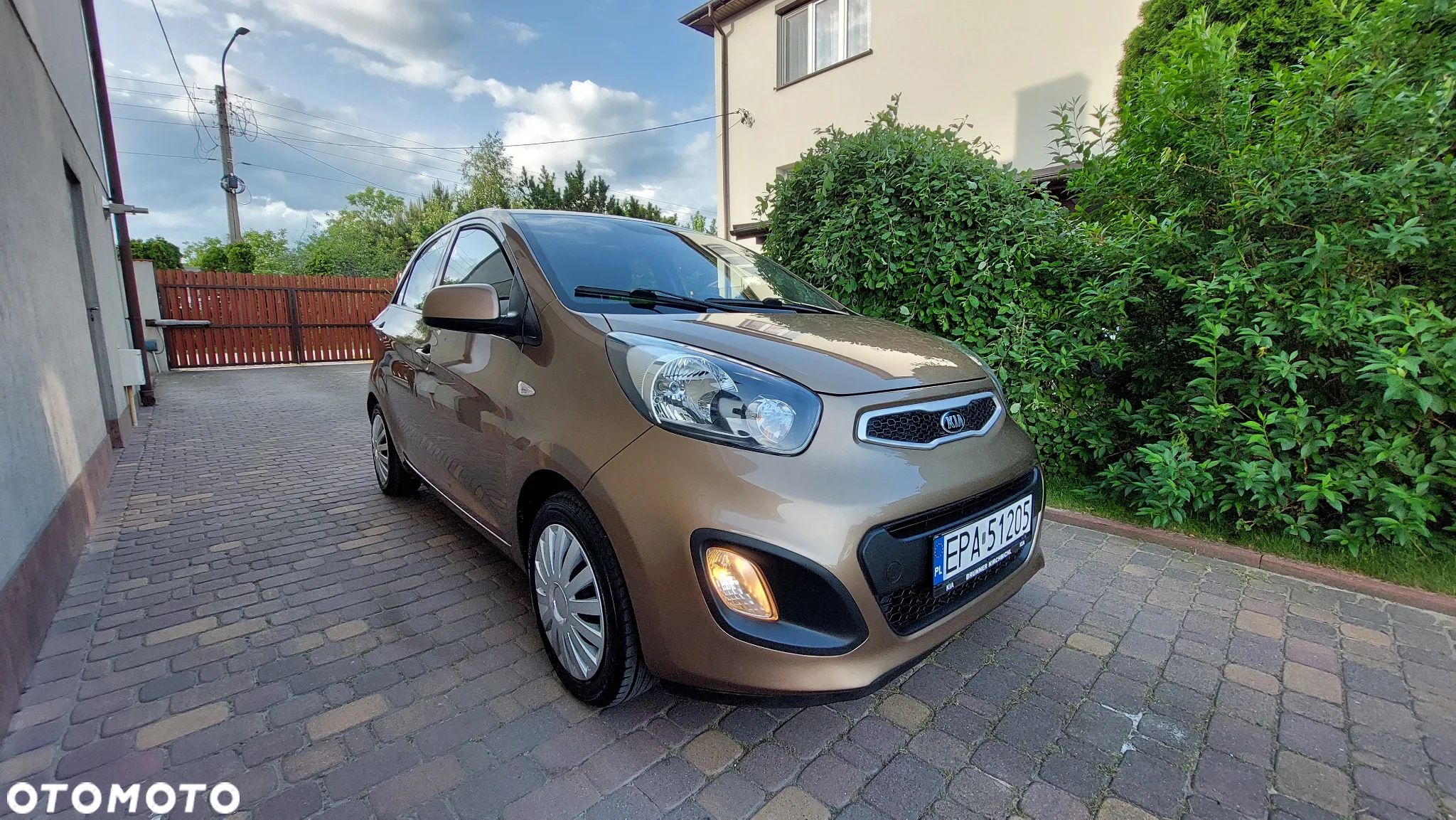 Kia Picanto 1.0 Dream Team Edition - 1