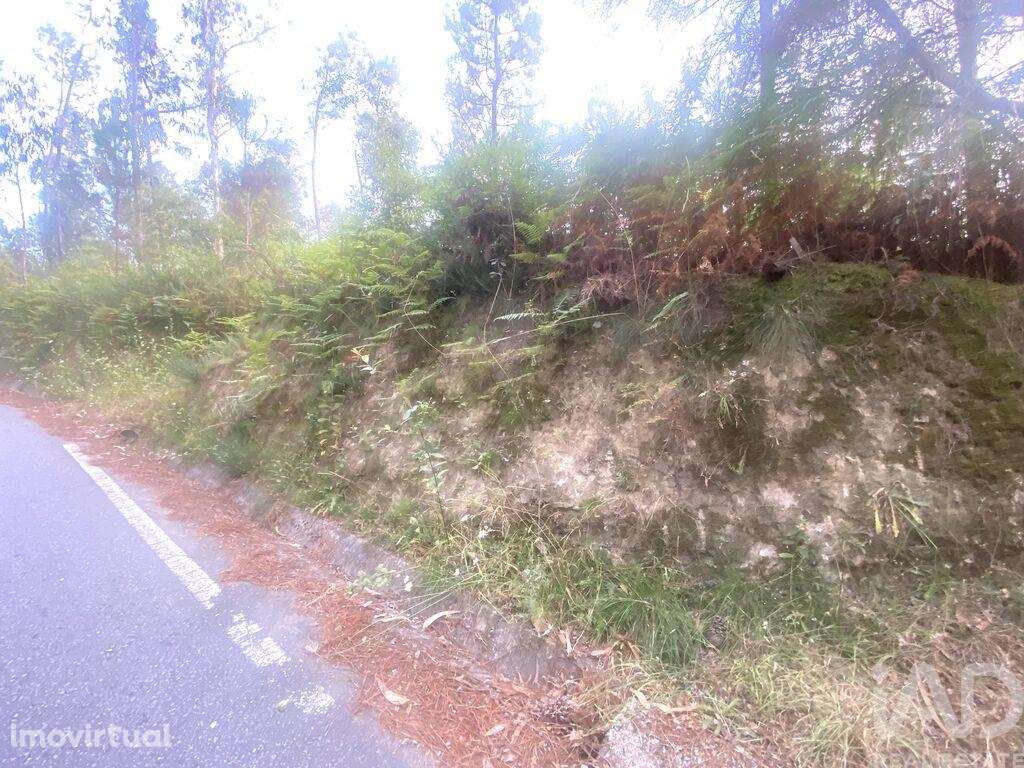 Terreno Agrícola em Sapardos de 660,00 m2 - Grande imagem: 2/7