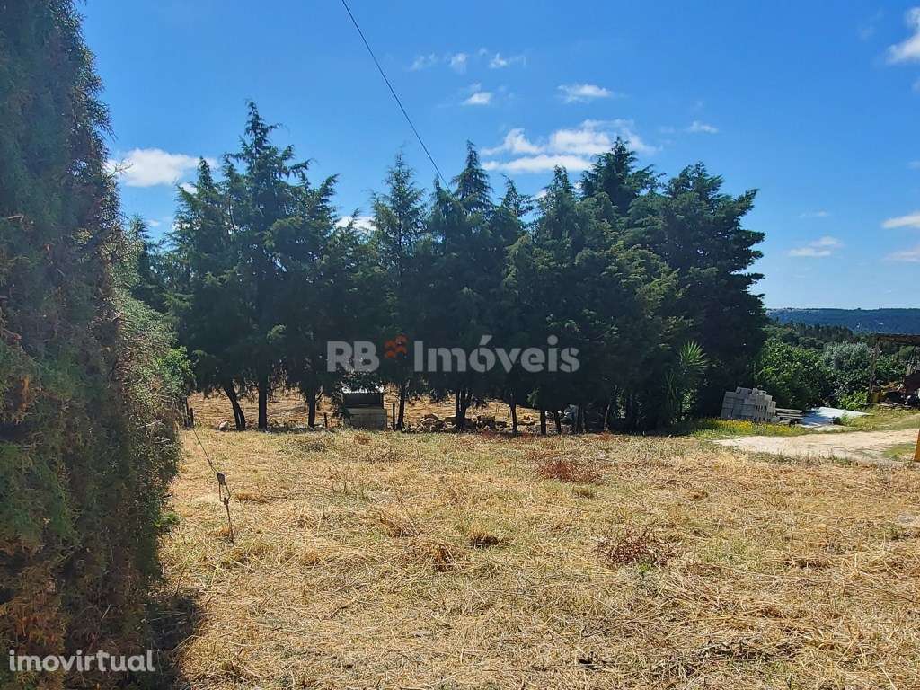 Terreno rústico com 400 m2, situado nas Limeiras. - Grande imagem: 2/10