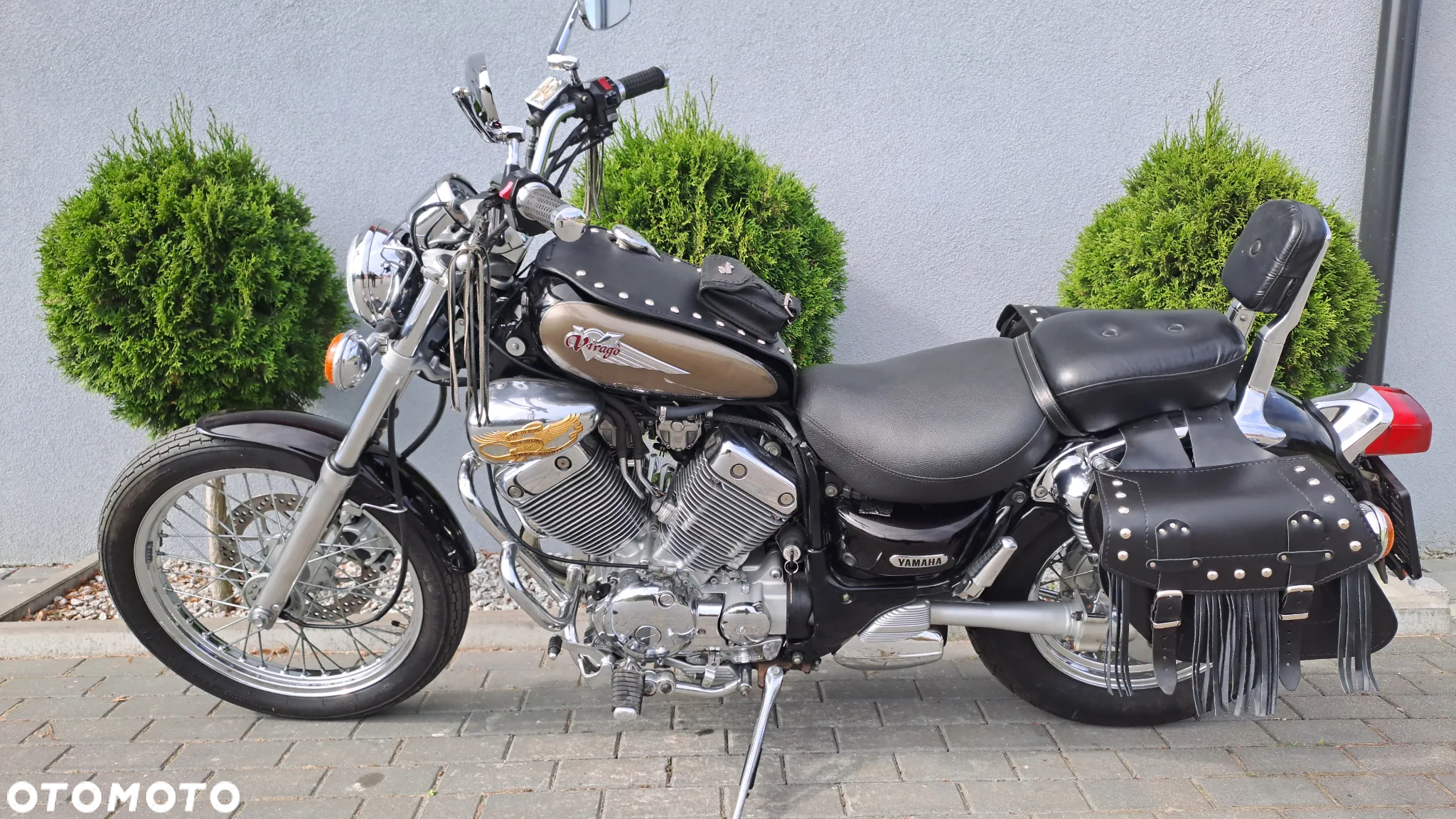 Yamaha Virago - 28