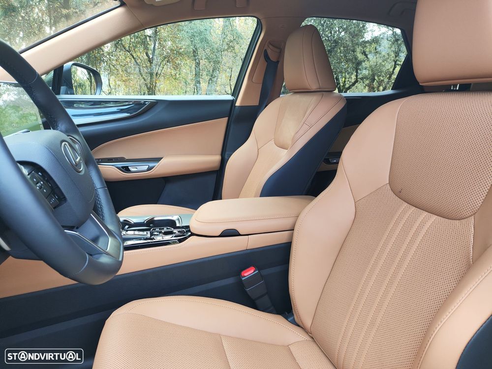 Lexus NX 450h+ - 14