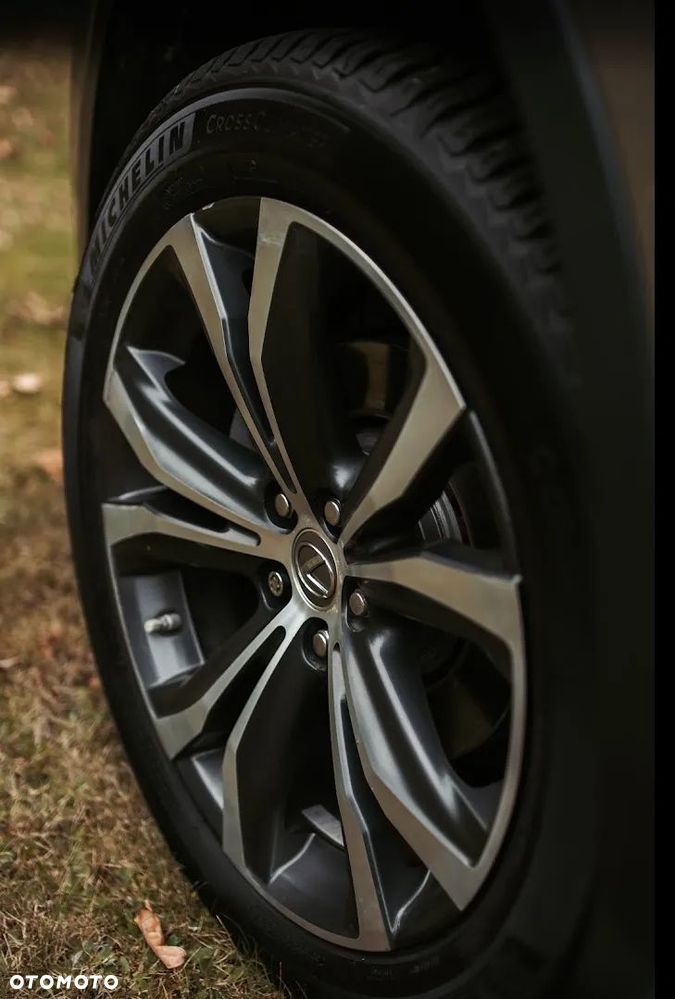 Lexus RX - 14