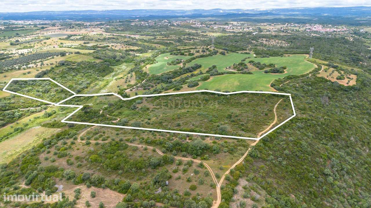 TERRENO COM 50.000M2 EM SANTARÉM - Grande imagem: 2/35