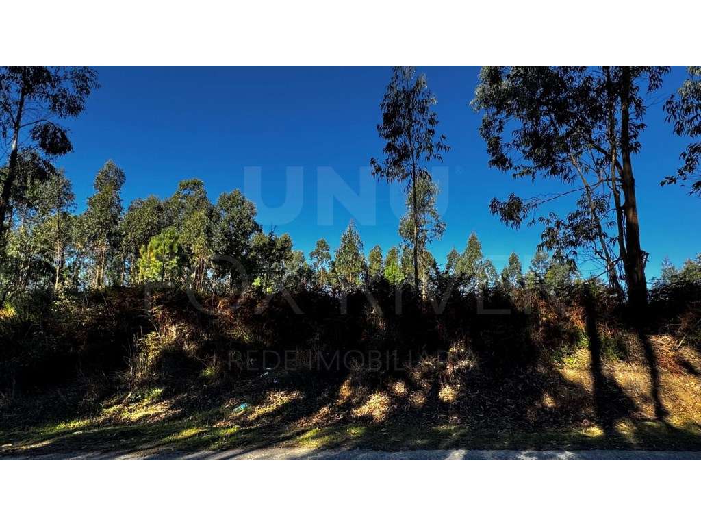Terreno para construção - Gandra, Valença - Grande imagem: 2/7
