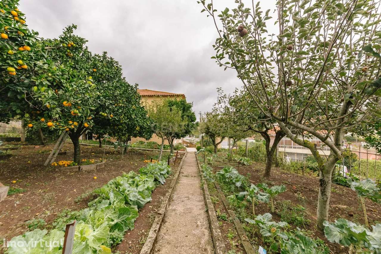 Lote de terreno rústico com uma área de 394m2 e possibilidade de const - Grande imagem: 2/15