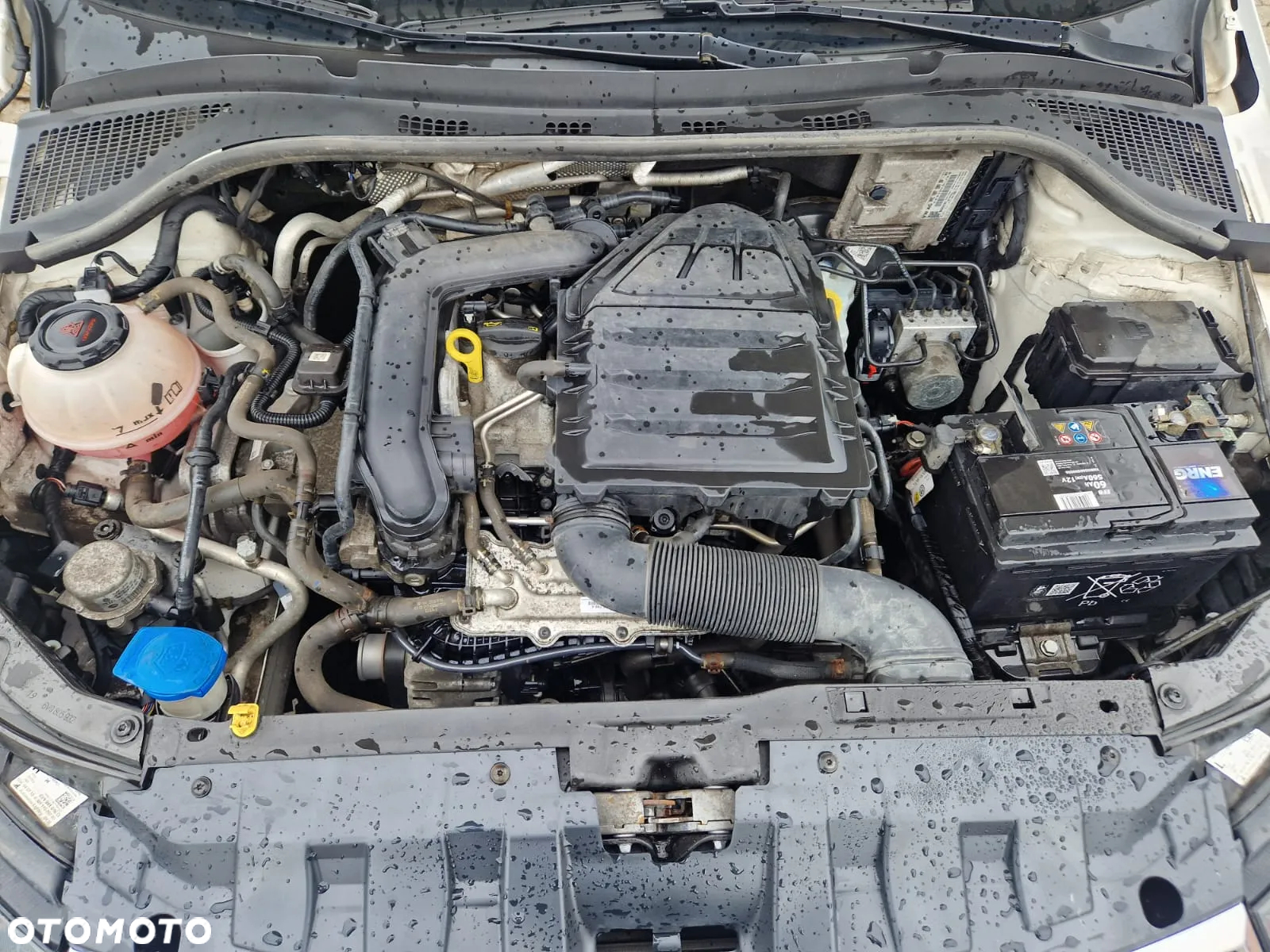 Skoda Fabia 1.0 TSI Ambition - 17