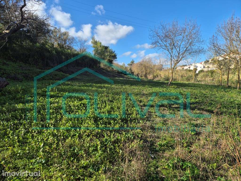 Terreno em Alhandra - Grande imagem: 2/21