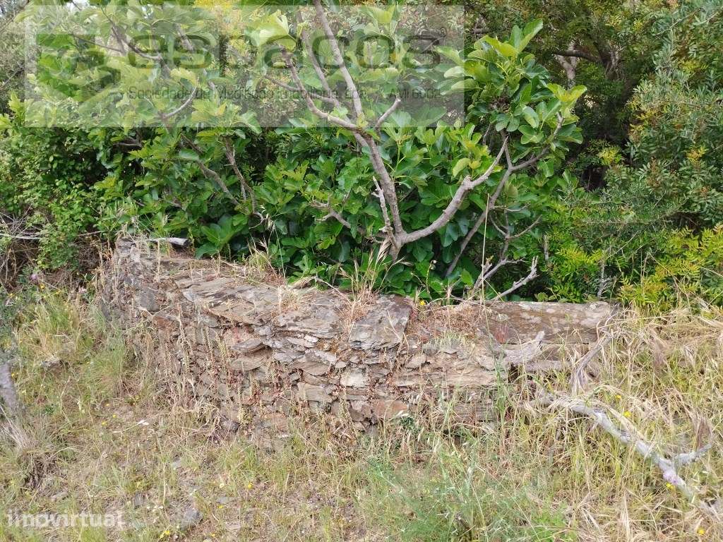 Terreno Monte Fidalgo - Grande imagem: 4/12