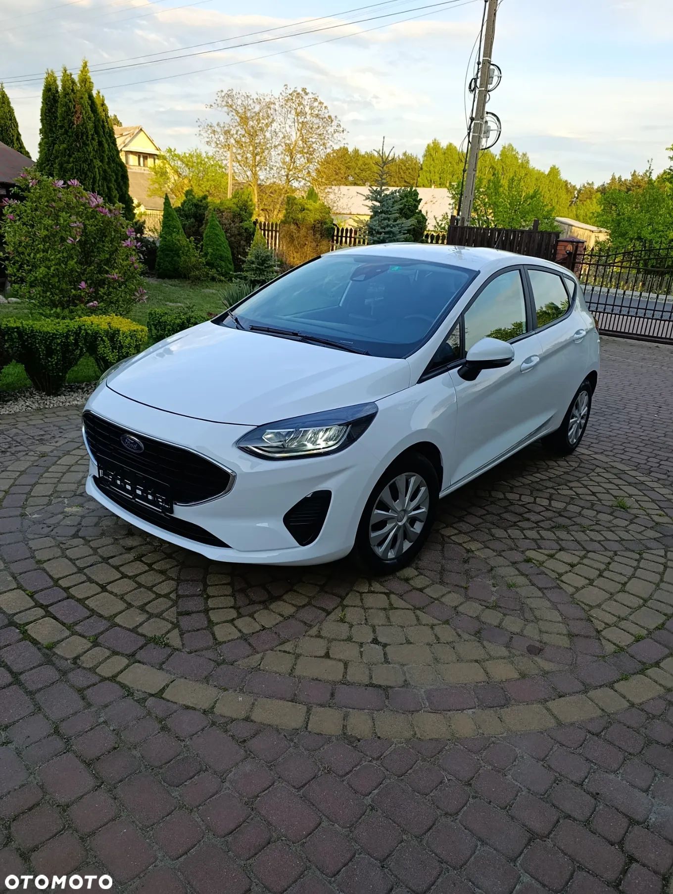 Ford Fiesta - 1