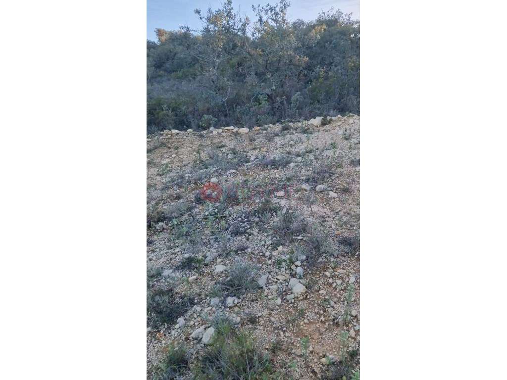 Terreno Rústico de 5.700m² em Loulé, Próximo da Cidade - Grande imagem: 3/7