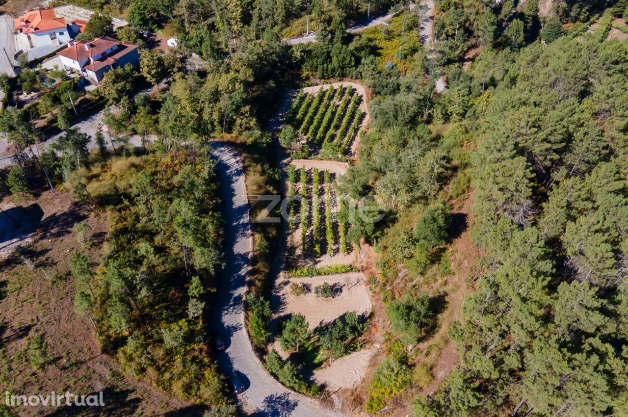Terreno Rústico em Gatão, Amarante. - Grande imagem: 4/27
