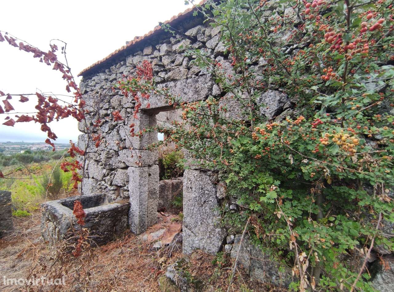 Quintinha para habitação - Grande imagem: 5/9