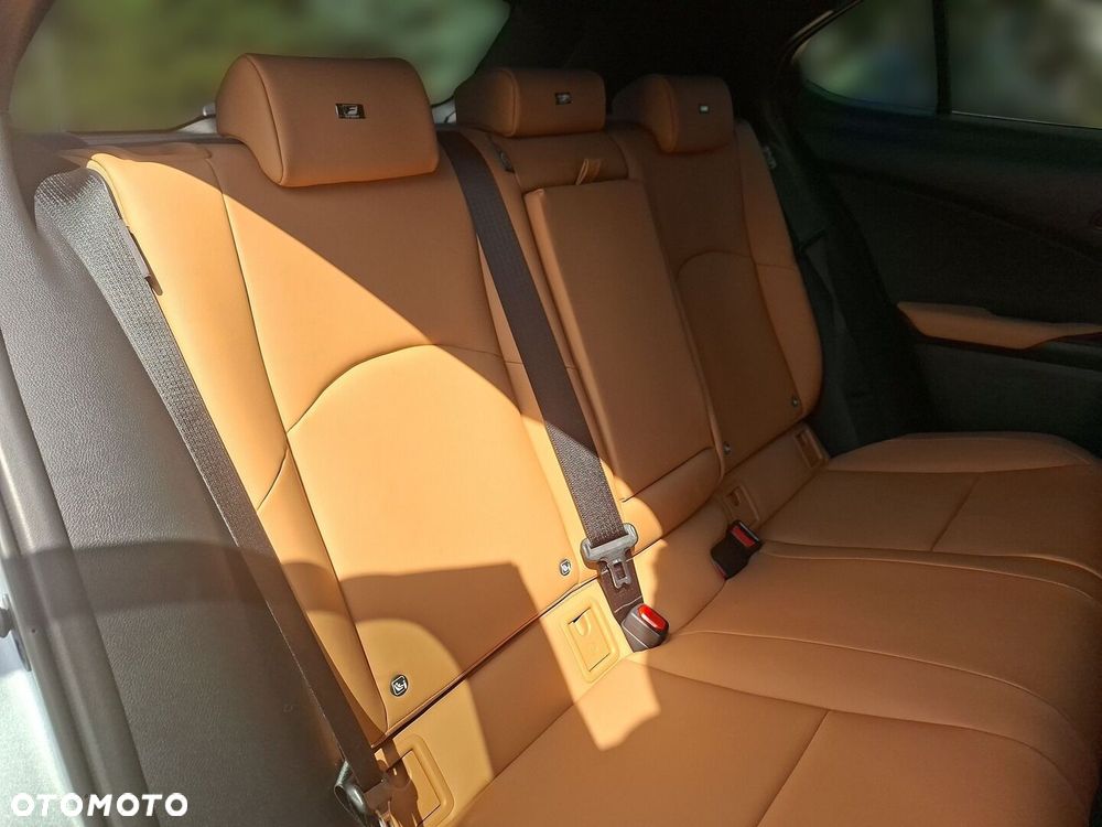Lexus UX 300h F Sport Design - 22