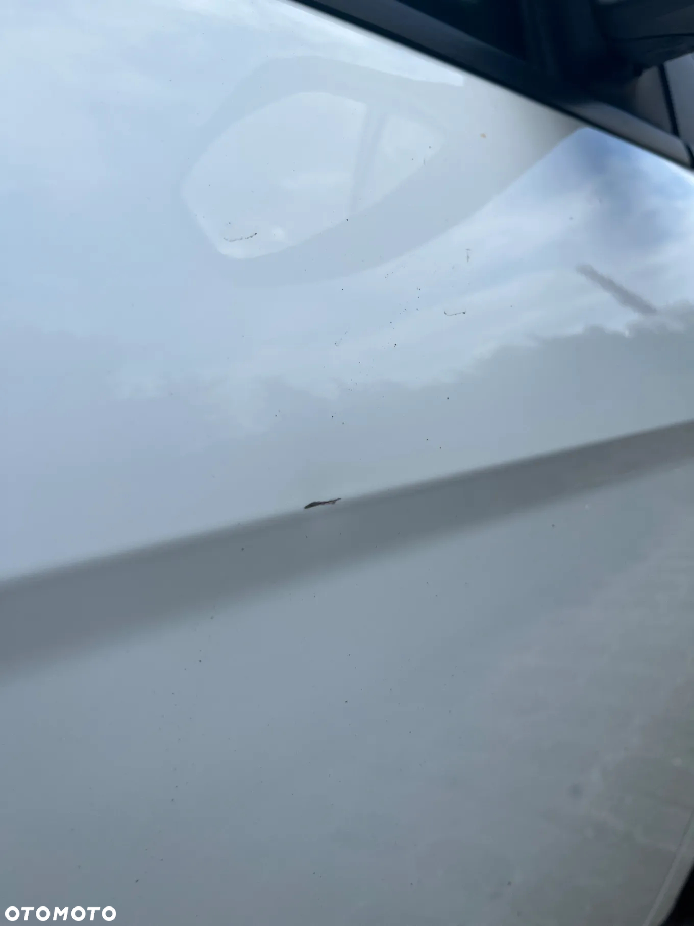 Ford Focus 1.6 TDCi Trend - 16
