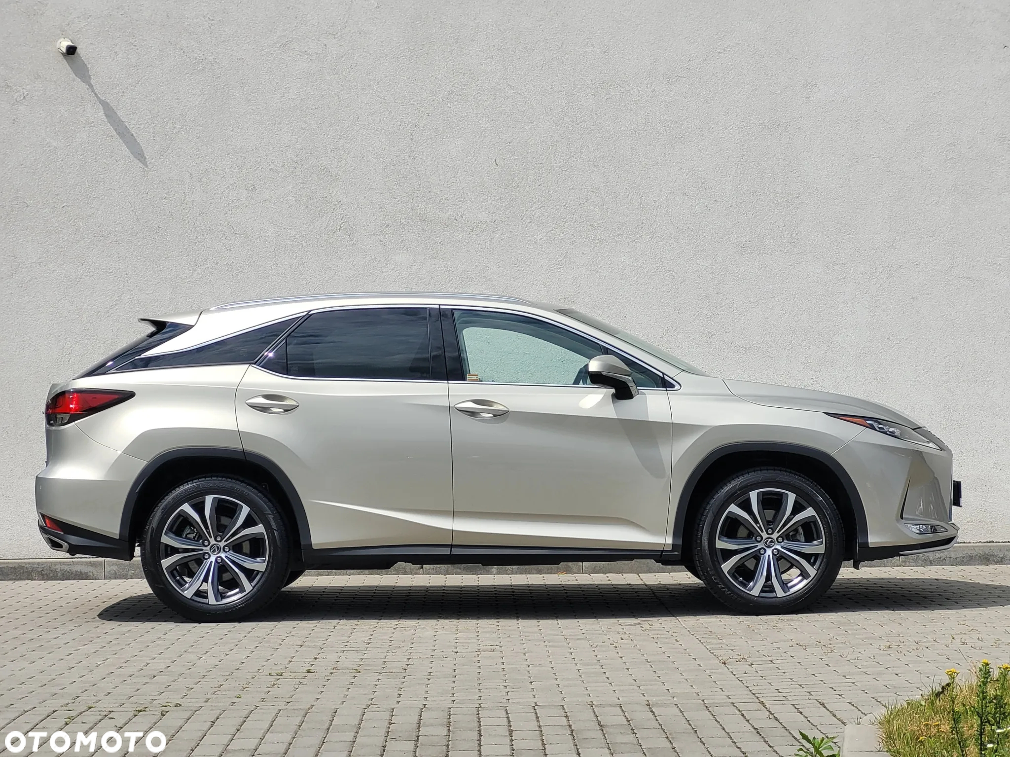 Lexus RX 300 Prestige - 10