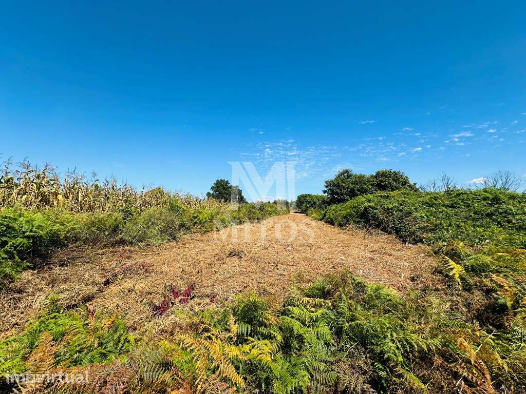 Terreno agrícola para venda em Cardielos - Viana do Castelo - Grande imagem: 2/8