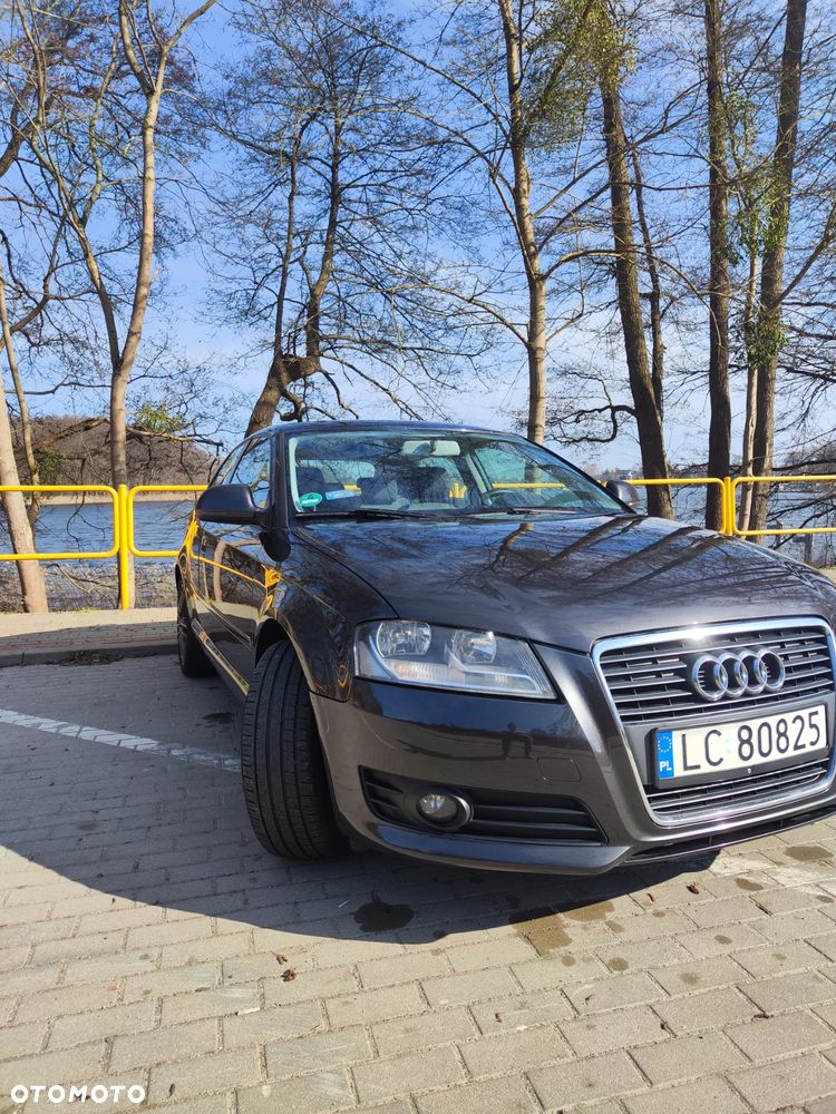 Audi A3 1.6 Ambiente - 4