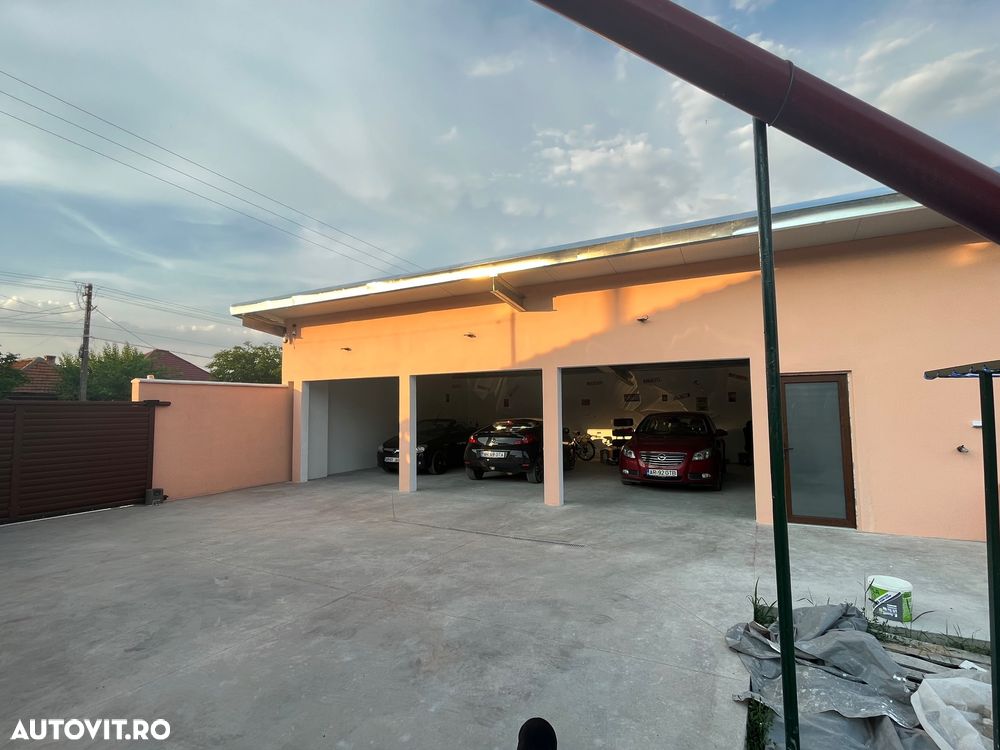 Renault Wind TCe 100 Dynamique - 12