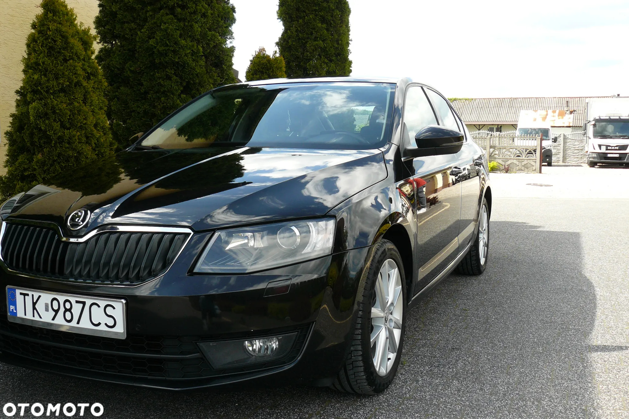 Skoda Octavia 2.0 TDI Elegance - 2
