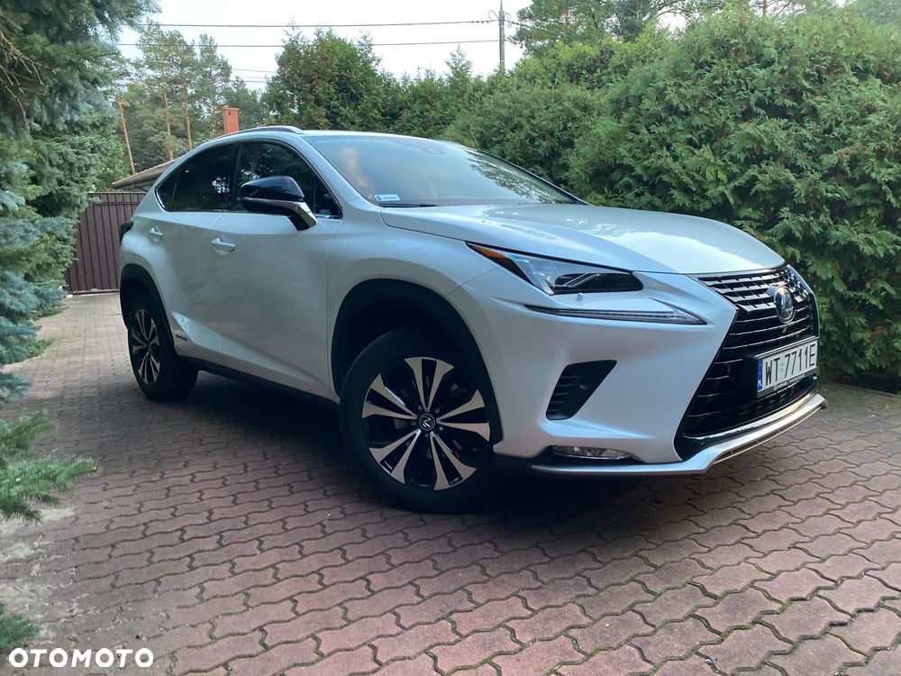Lexus NX - 5