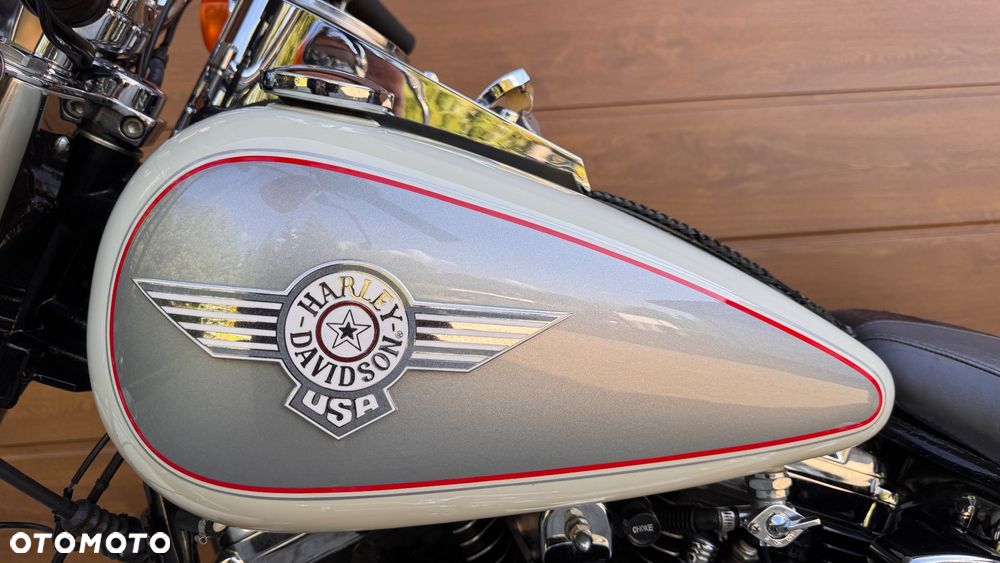 Harley-Davidson Softail - 11