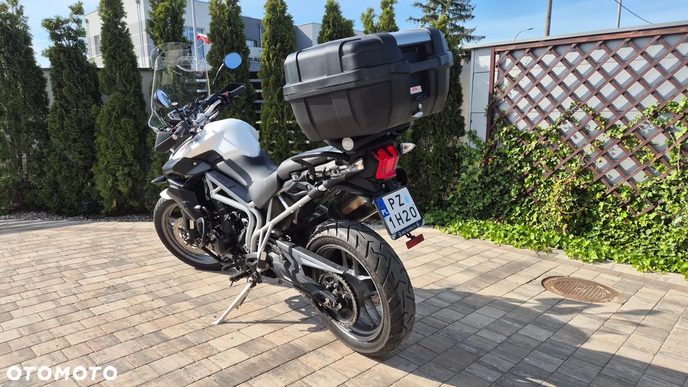 Triumph Tiger - 16