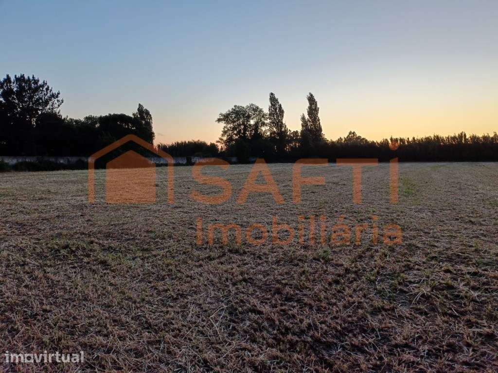 Terreno de 3.920 m² em Alfeizerão | Proximidade Foz do Arelho - Grande imagem: 2/6