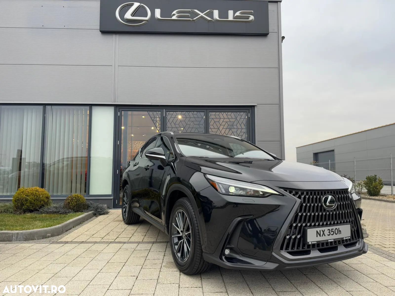 Lexus Seria NX 350h AWD CVT HEV Executive - 1