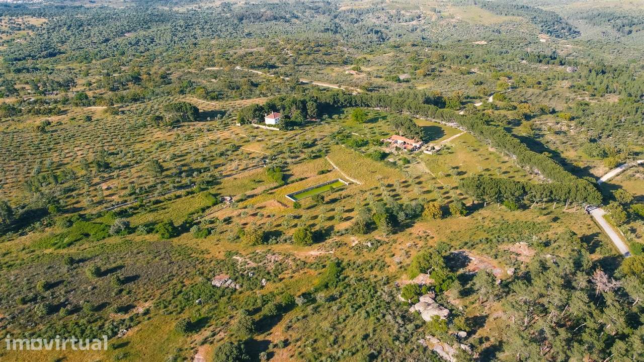 Herdade >=T10 Venda em Castelo Branco,Castelo Branco - Grande imagem: 2/60
